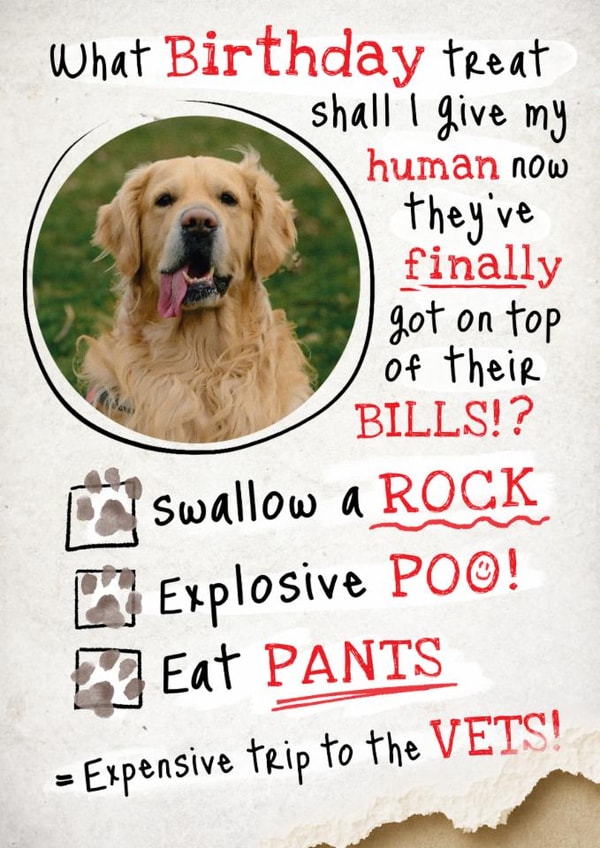 Funny Birthday Card - Human Treat created by Emma Proctor