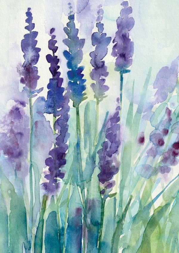Lavender Fields watercolour Card - perfect to say that you care created by Diana Fegredo