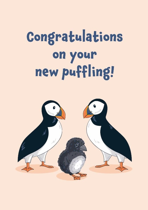 Cute Puffin New Baby Card - Congratulations On Your New Puffling created by Fox & Finch