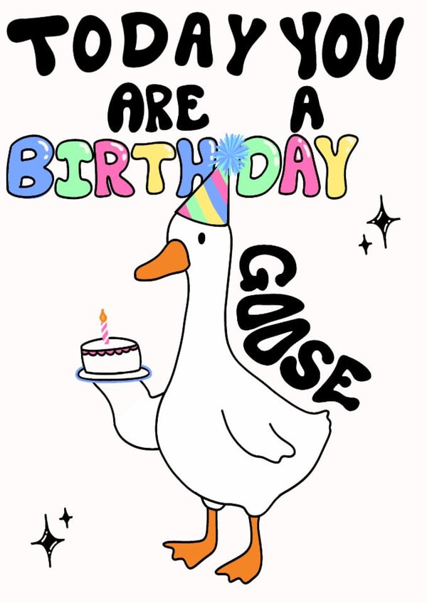 Cute funny birthday goose birthday card “ today you are a birthday goose “ created by Emily Holwell