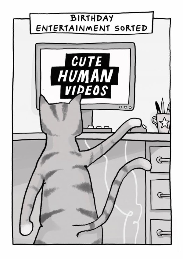 Funny Birthday Card - Cat - Birthday Entertainment Sorted - Cute Human Videos created by Running with Scissors