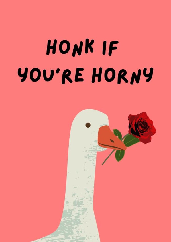 Naughty Goose Valentine's Card - For Him/Her - Cheeky Romantic Anniversary created by Becky Leeson