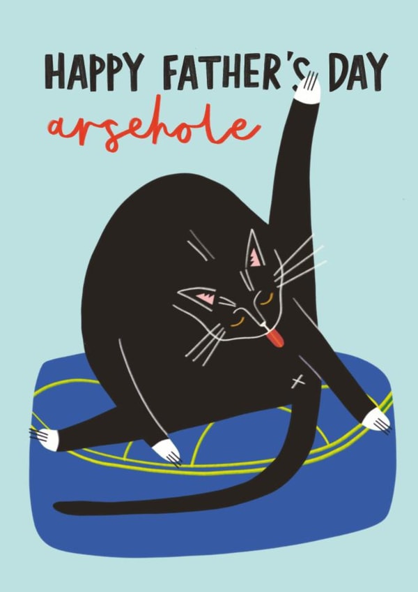 Funny Father's Day Card - From the Cat - Arsehole created by AbiGoLucky