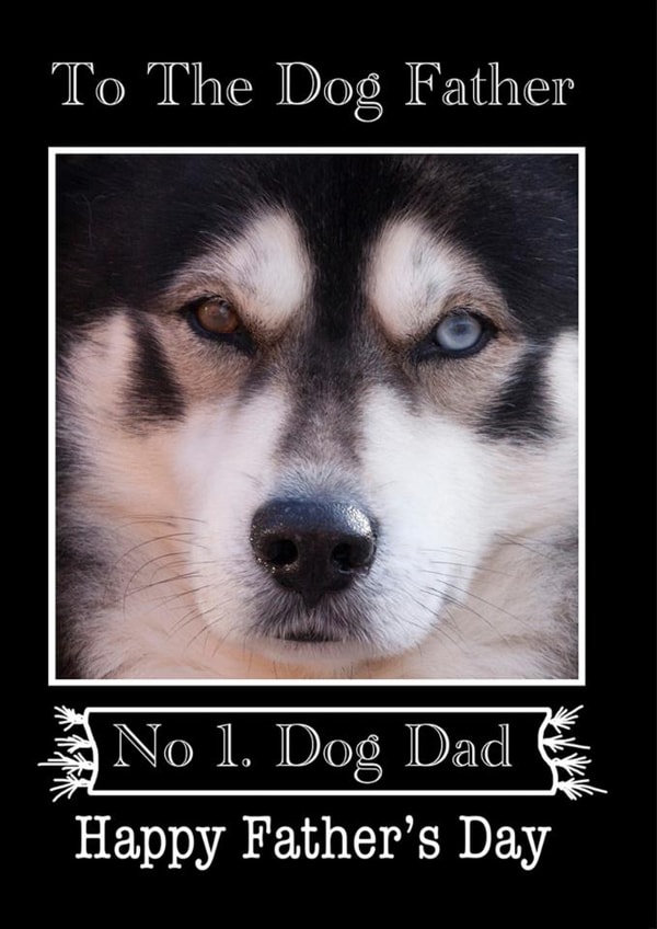 funny dog fathers day card from the dog to his Dad on fathers day created by Loui's Funky card Designs