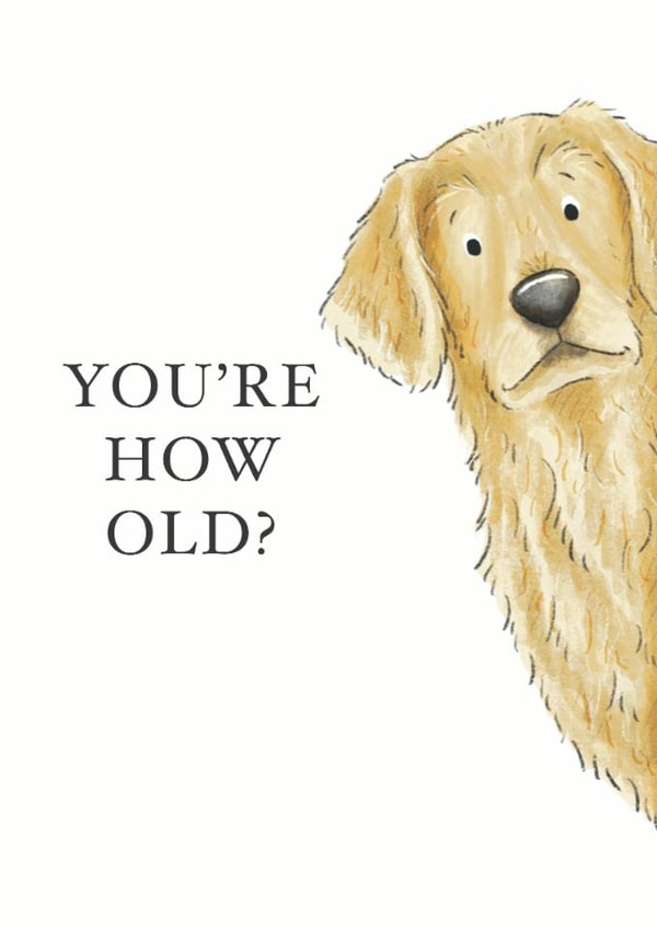 Cheeky Birthday Card - Golden Retriever created by Kate Tea Illustration