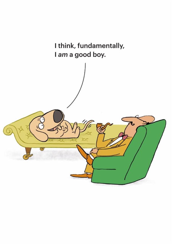 Funny Birthday Card - Good Boy - Dog Therapy created by Cardinky