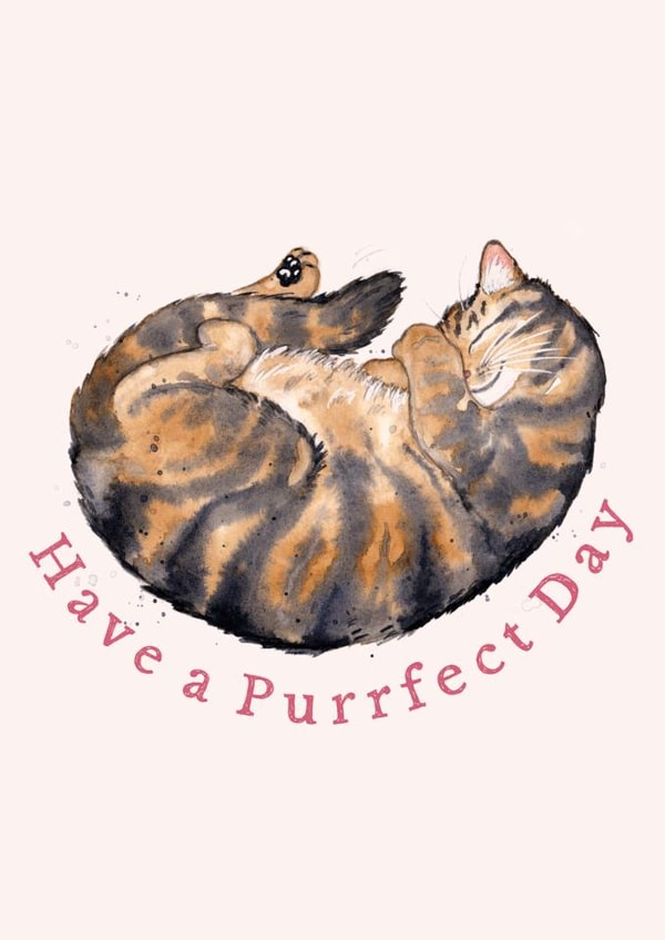 The purrrrfect card for a brown tabby cat lover, from you or from the cat! created by Amy Holliday