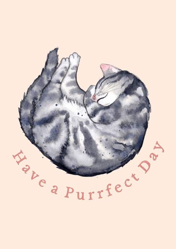 The purrrrfect card for a grey tabby cat lover, from you or from the cat! created by Amy Holliday