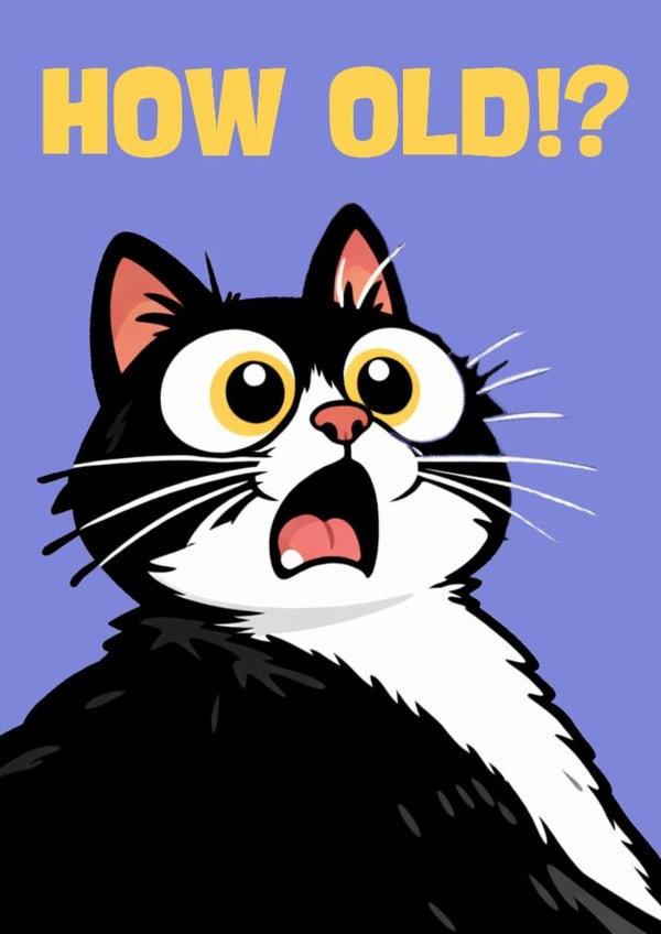 Funny Birthday Card for a cat loving friend or relative created by Charlo