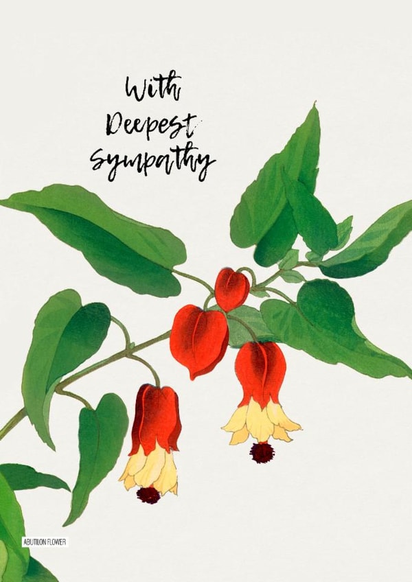 Sympathy card with Abutilon flowers created by David Bennett