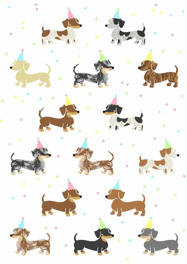 Cute dachshund birthday card for sausage dog lovers created by Laura Deakin