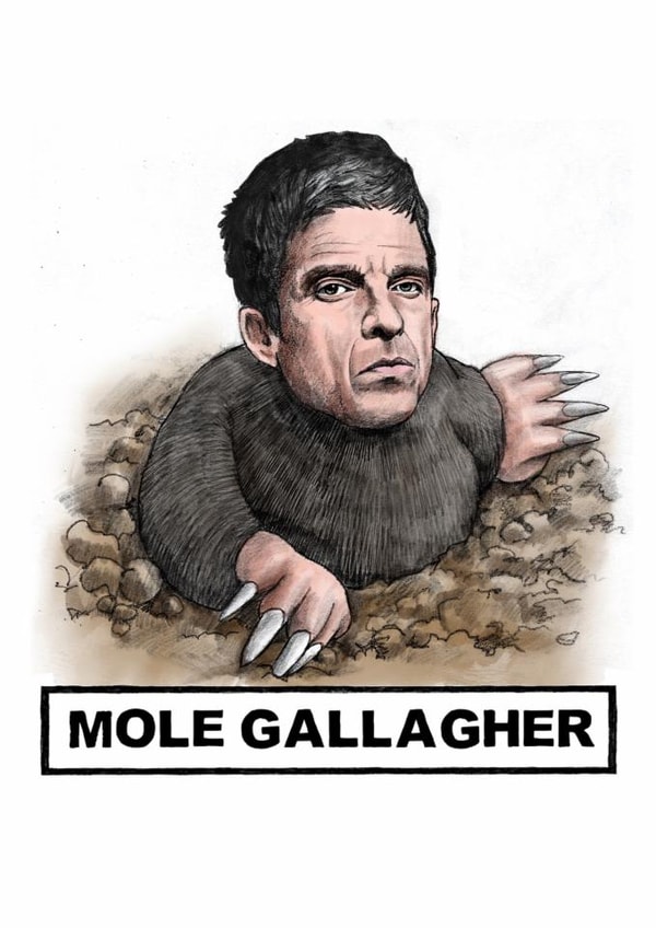 Funny Birthday Card - Mole Gallagher - Celebrity Pun created by Quite Good Cards