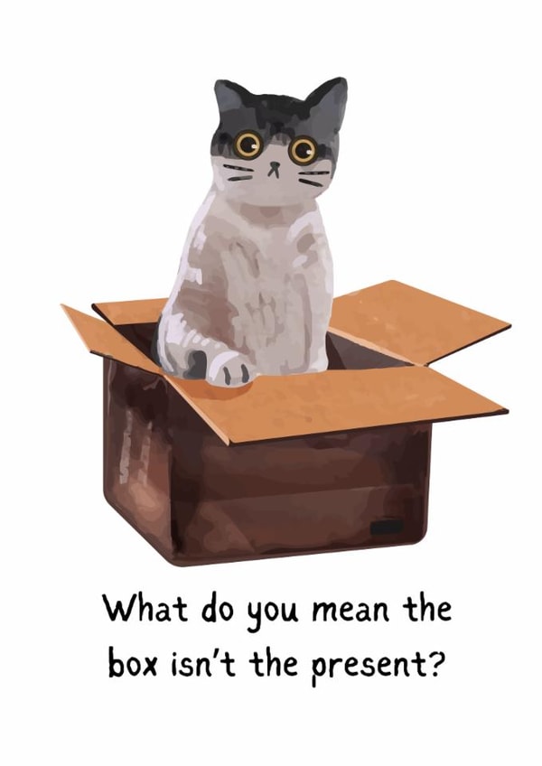 Funny Cat Birthday Card - For Friend, Partner, Sibling created by SophyLoaf