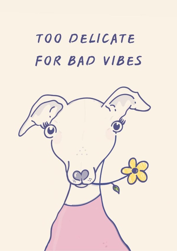 Funny Dog Lover Card | Too Delicate For Bad Vibes | Whippet Greyhound Card created by Brooke Davies