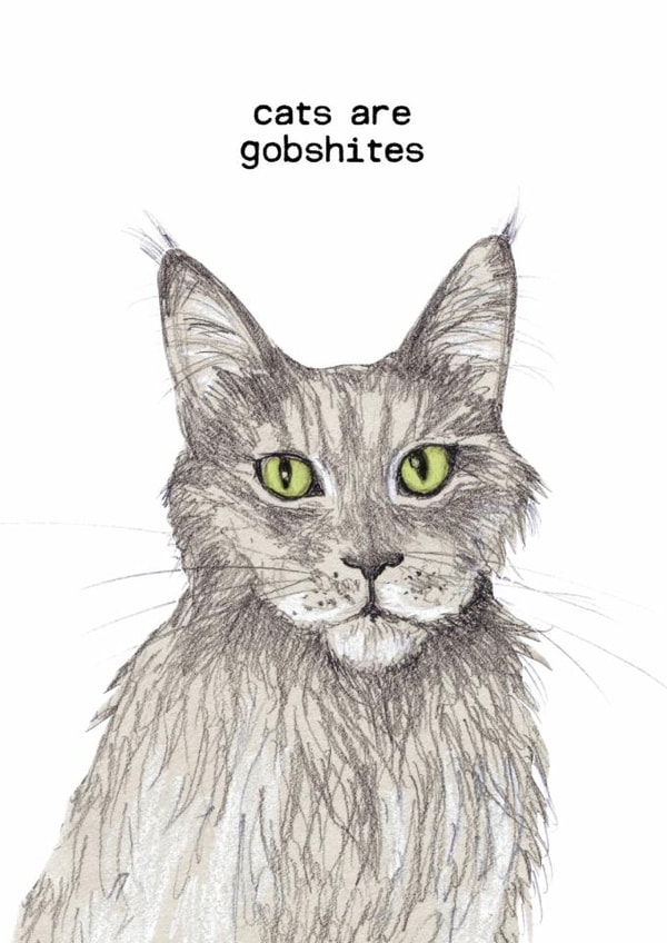 Funny Birthday/Just Because Card - Cats Are Gobshites created by The Curious Pancake