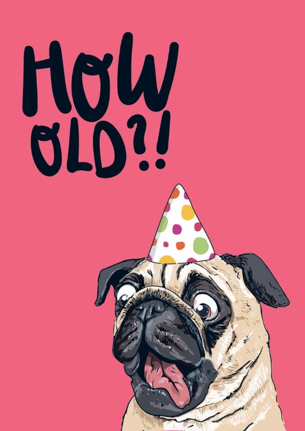 Funny Birthday Card - Cheeky Pug - How Old?! created by Lovely Paper Stuff ltd
