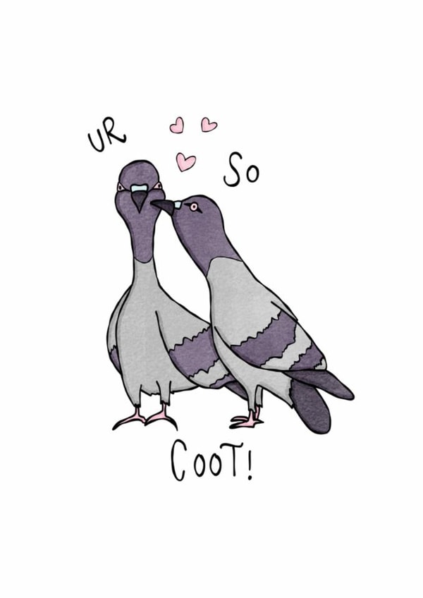 Cute Anniversary Card - Pigeons - You're So Coot created by Such Poise