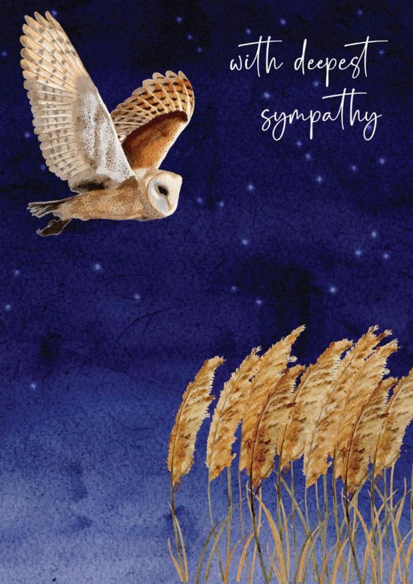 Classic Sympathy Card - Barn Owl - Night Sky created by Heather Trefusis Art