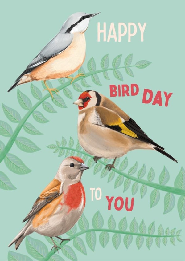 Classic Birthday Card - Birds - Wildlife created by Sian Moore Illustration
