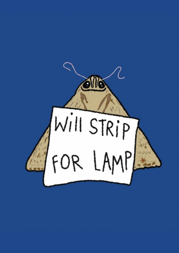 Funny Birthday/Just Because Card - Cute Moth - Will Strip For Lamp created by Redback Cards