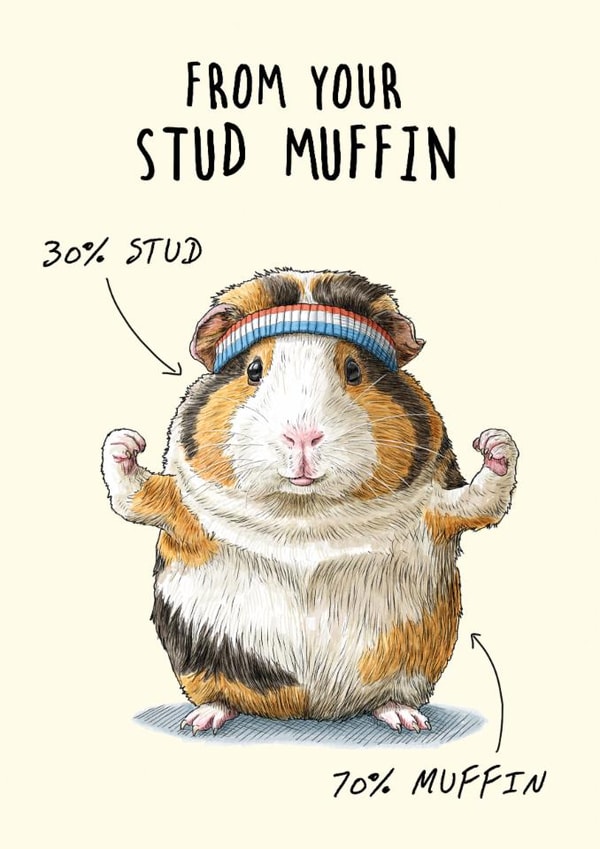 Funny Anniversary Card - Stud Muffin - Gym Gerbil created by Bewilderbeest