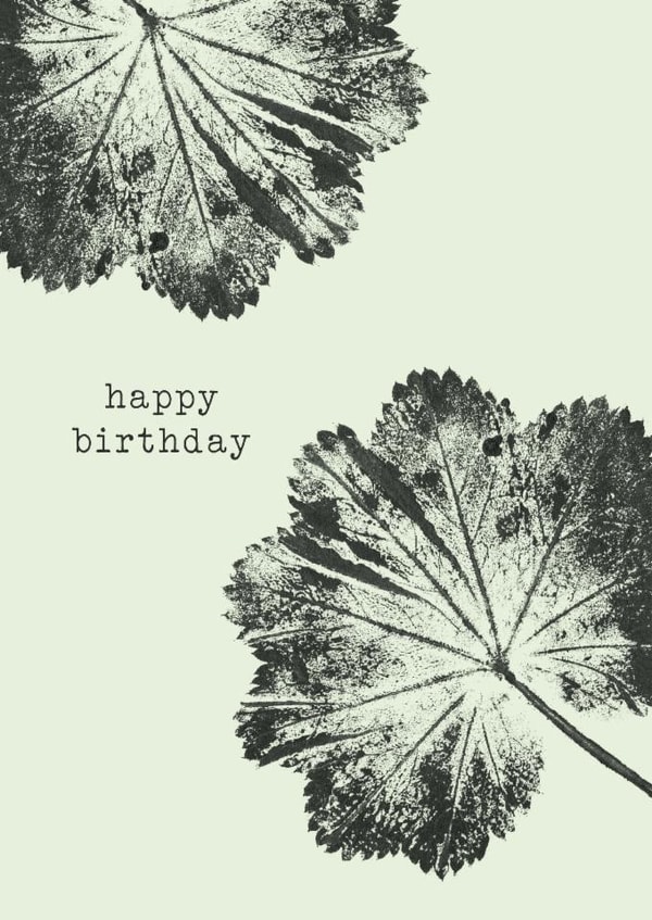 Classic Birthday Card – Alchemilla Mollis created by Unfurling Press