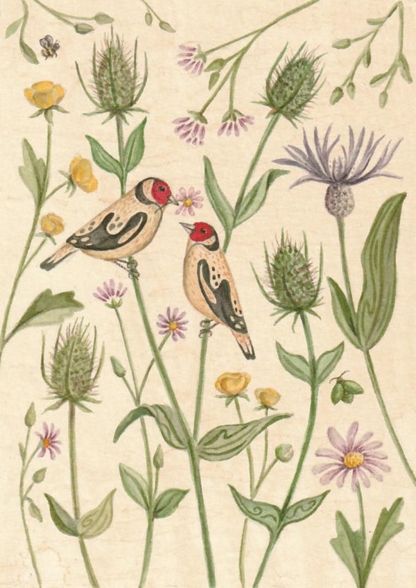 Pretty Just Because Card - Goldfinch Birds - Flowers created by Zoe Pearl