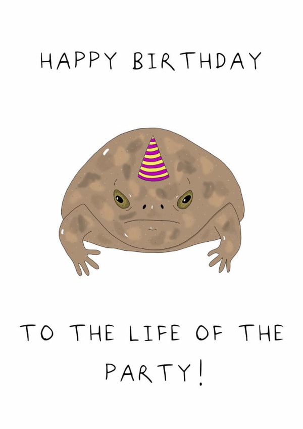 Funny grumpy birthday frog! created by AJS STUDIOS