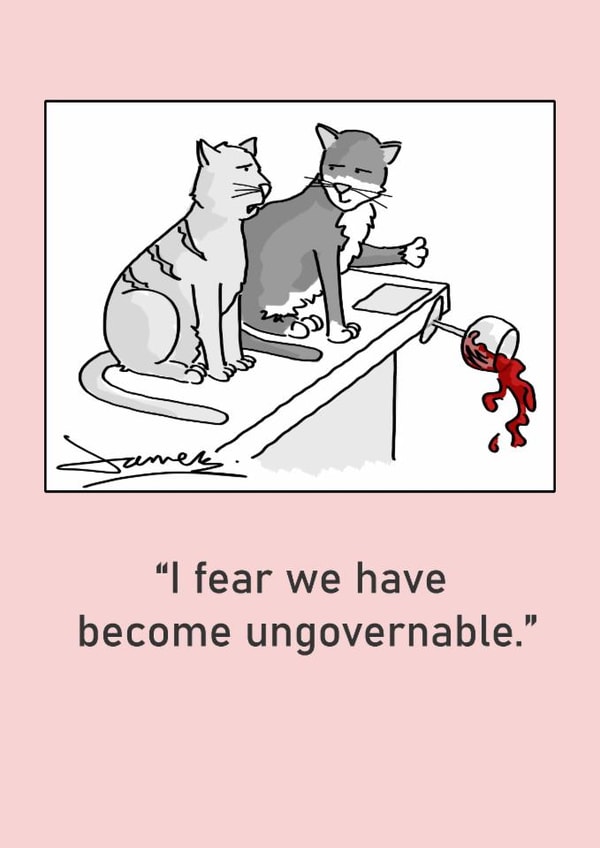 a funny cat card for your friend who breaks the rules created by James  Mellor 